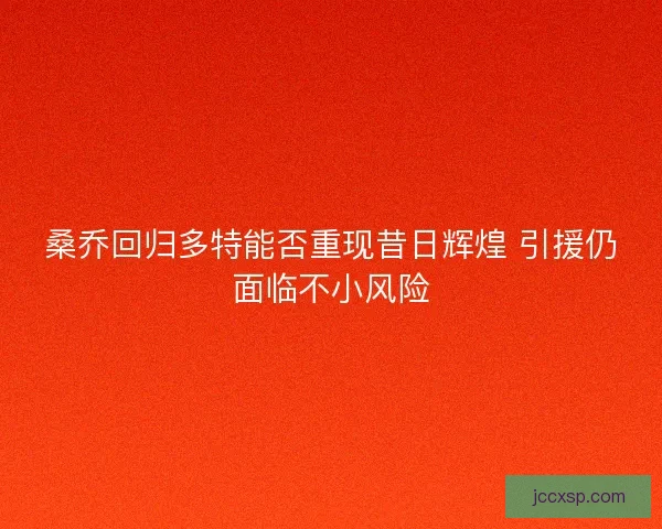 桑乔回归多特能否重现昔日辉煌 引援仍面临不小风险